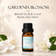 Landroma 10ml Aroma Oil for Nebulizing Diffuser – Premium Fragrance Oils, 6 Scents To Choose From